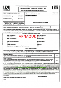 registre-siret-des-entreprises[1]